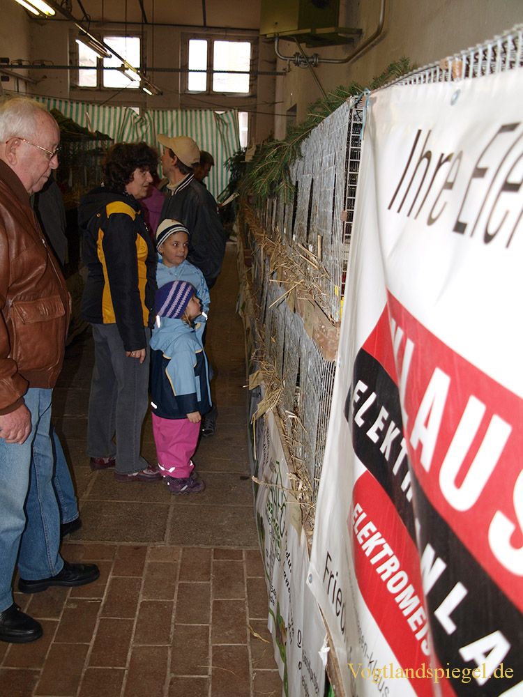 Gut besuchte Rassekaninchenausstellung in Mohlsdorf