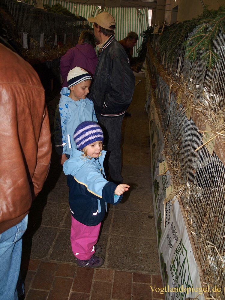 Gut besuchte Rassekaninchenausstellung in Mohlsdorf