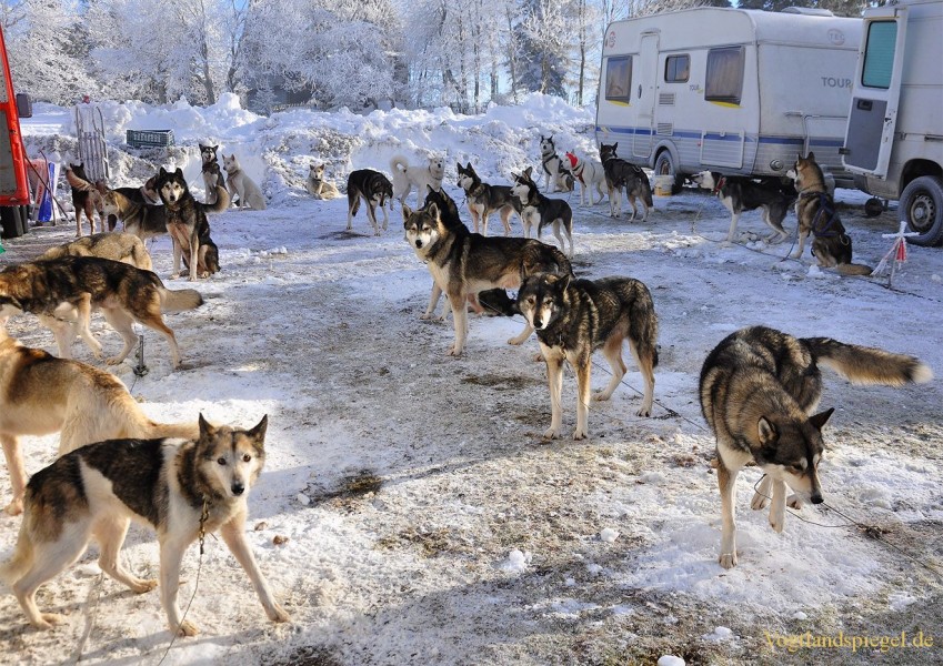 Trans Thüringia 2015 - 5. Lauf in Masserberg