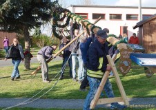 Mit Manneskraft und Zuversicht den Maibaum gestellt