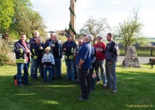 Mit Manneskraft und Zuversicht den Maibaum gestellt