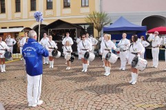 Greizer Bauern- und Gebrauchtwagenmarkt