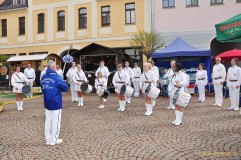 Greizer Bauern- und Gebrauchtwagenmarkt