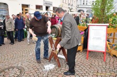 Greizer Bauern- und Gebrauchtwagenmarkt