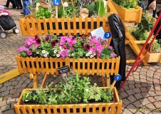 Greizer Bauern- und Gebrauchtwagenmarkt