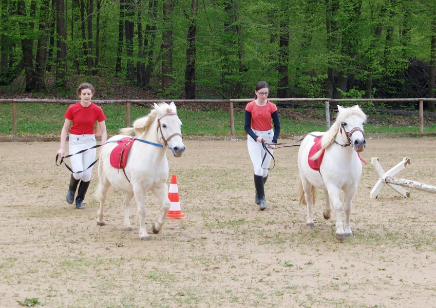 Tag der offenen Tür im Gestüt Bretmühle