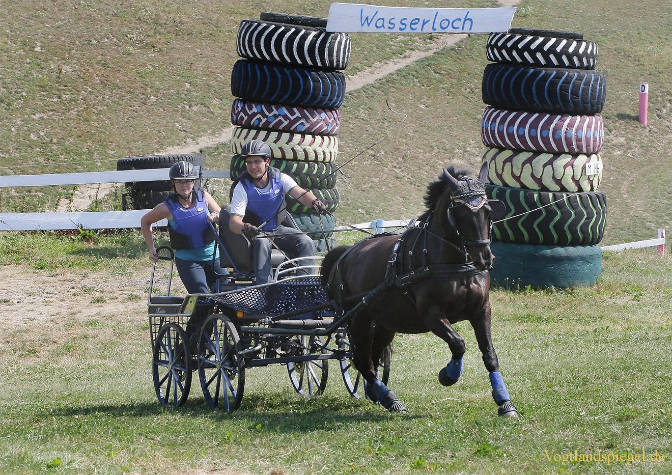 RFV Mohlsdorf e.V. rief Pferdesportfreunde zum Championat