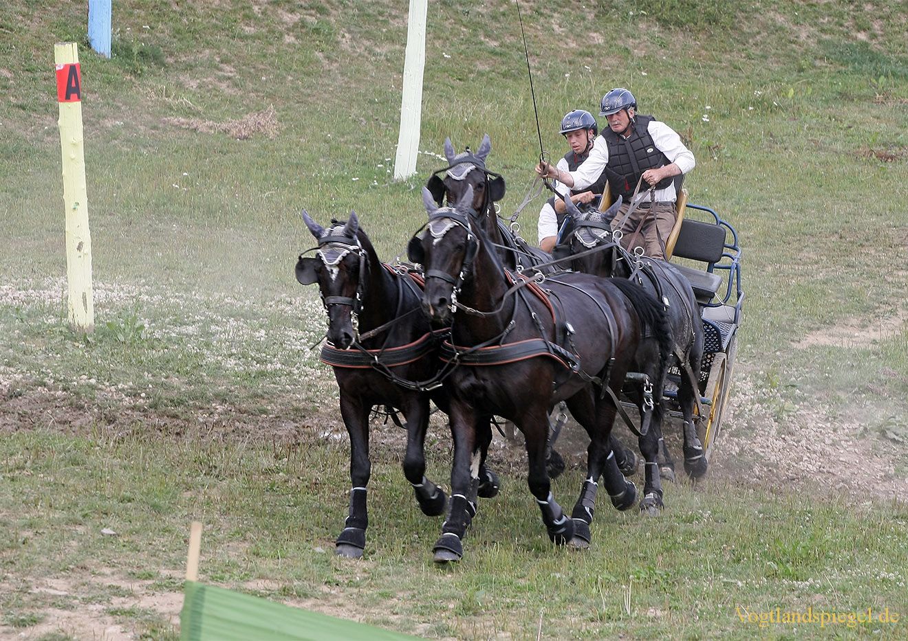 RFV Mohlsdorf e.V. rief Pferdesportfreunde zum Championat
