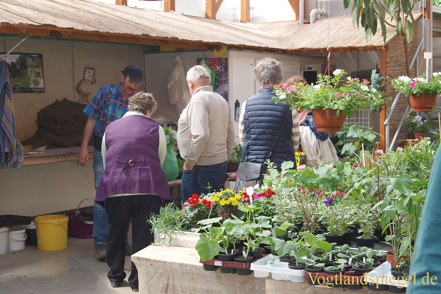 Gut besuchtes Frühlingsfest bei Gartenbau Dietzsch