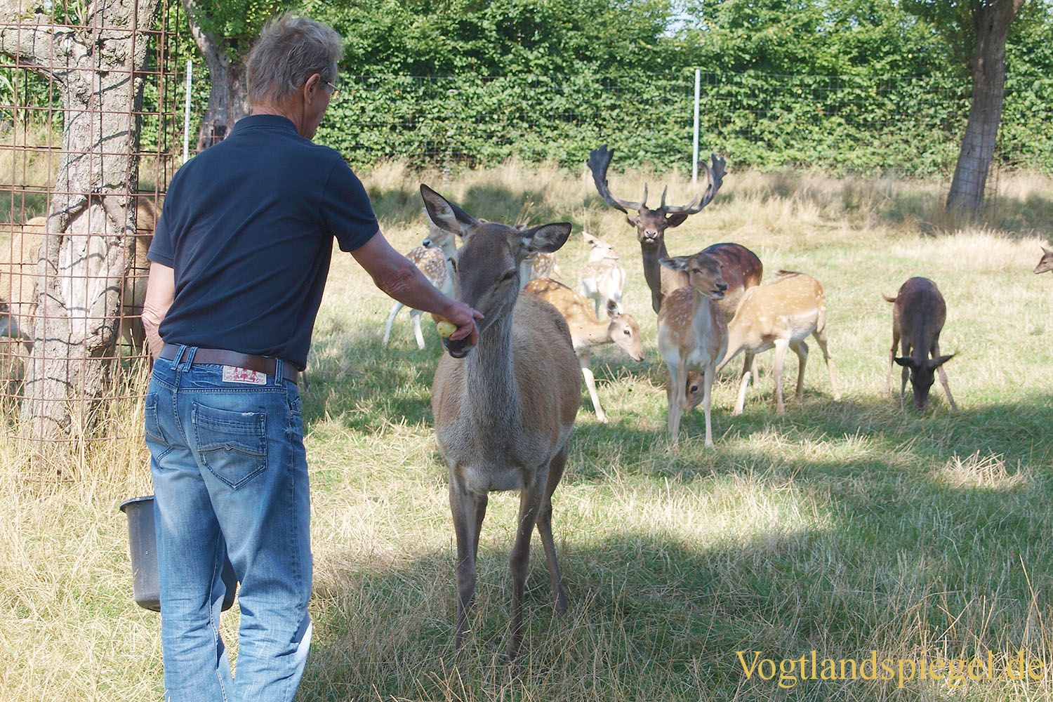 Wildhalter aus Niederbayern zum Erfahrungsaustausch in Thüringen