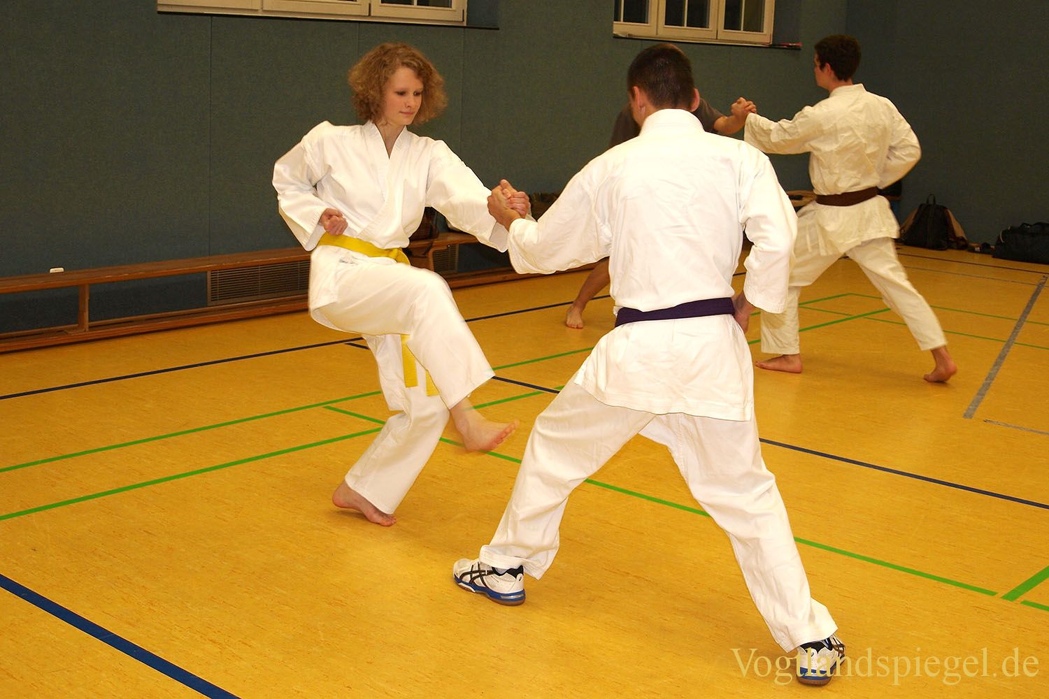Aktionstag: Selbstverteidigung für Mädchen und Frauen beim 1. Greizer Karate Dojo