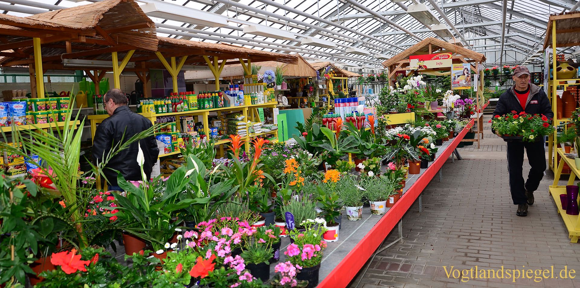 Gartenmarkt Schönfeld lud zum Tag der offenen Gärtnerei