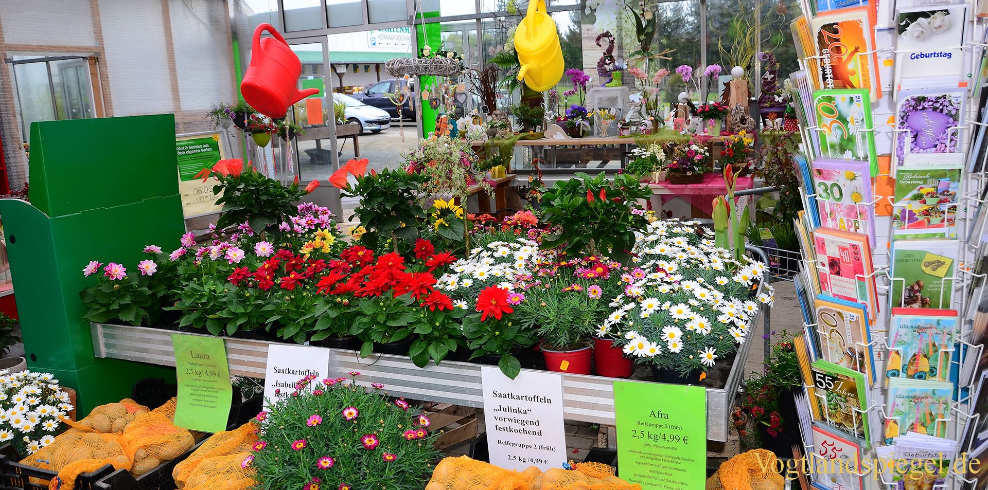 Gartenmarkt Schönfeld lud zum Tag der offenen Gärtnerei