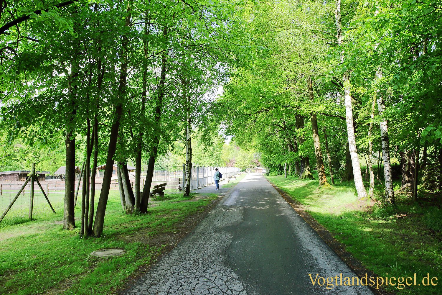 Waldhaus: Besucher strömen zum Tag des Waldes und der Jagd