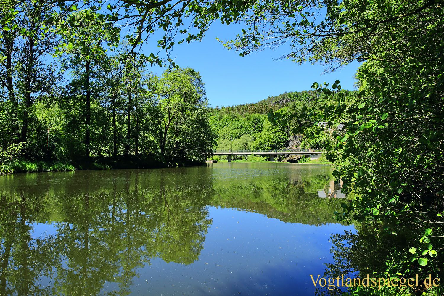 Neumühle/Elster Vogtlandspiegel