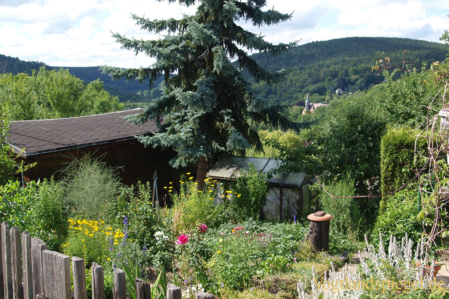 100 Jahre Kleingartengeschichte auf dem Greizer Reißberg
