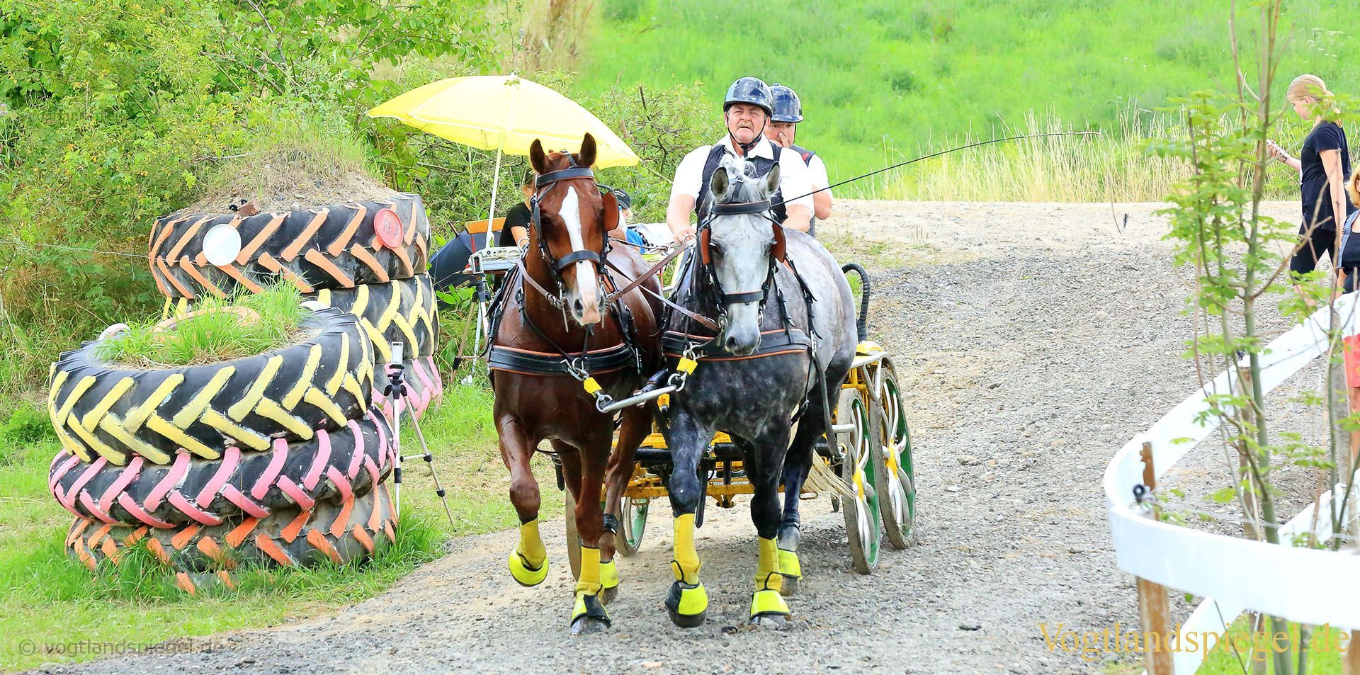 Mohlsdorf: Thüringer Landesmeisterschaft im Vier- und Einspännerfahren