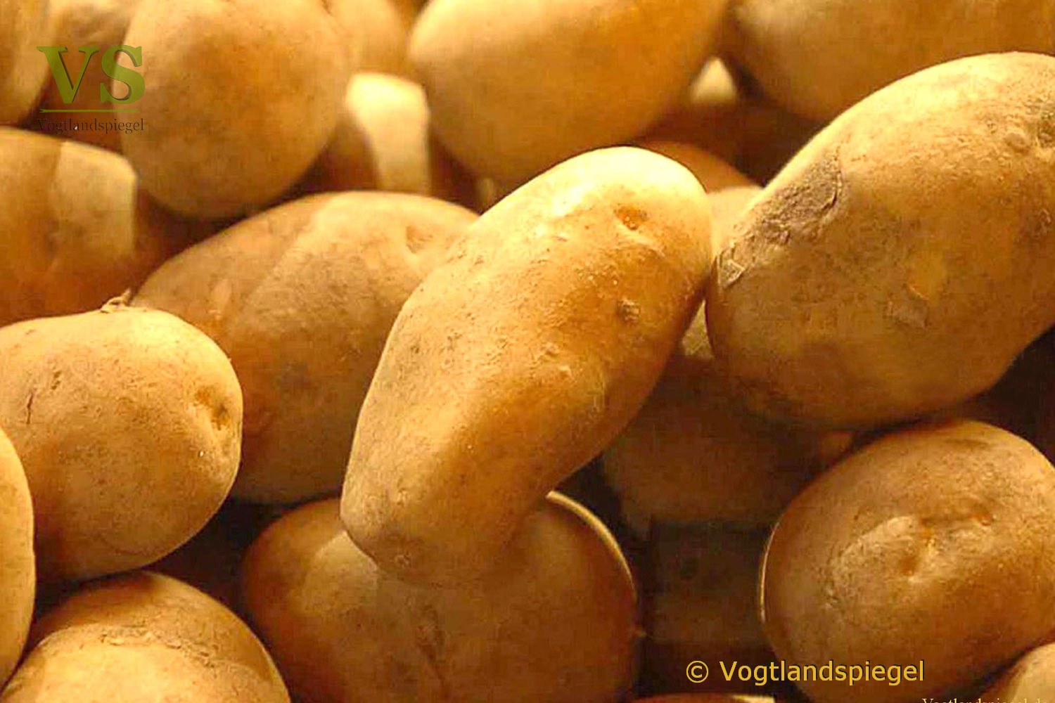 Früh Kartoffeln