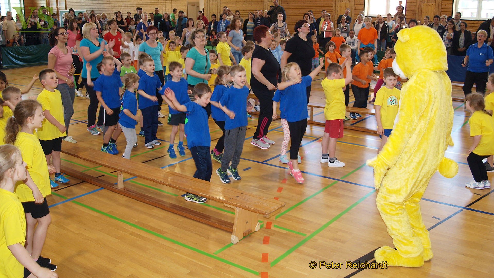 Neun Kindergärten mit 14 Mannschaften beteiligten sich an dem traditionsreichen Greizer Vorschulkinder-Sportwettkampf um den Bummi-Pokal