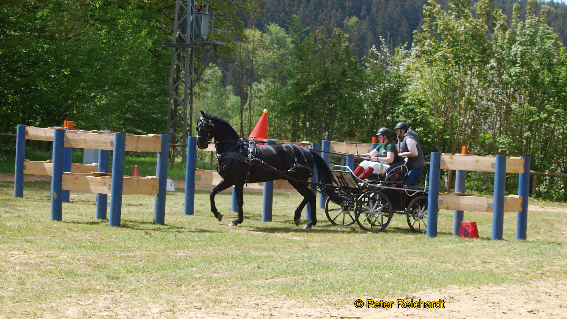 Gestüt Bretmühle: Kaiserwetter beim Tag der offenen Tür