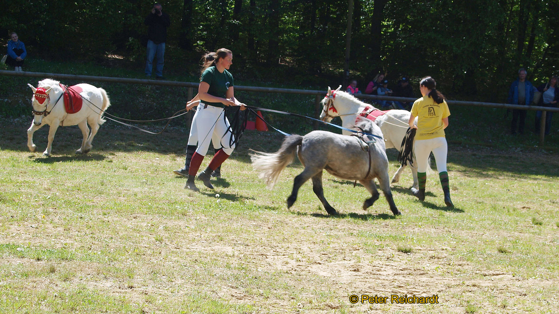 Gestüt Bretmühle: Kaiserwetter beim Tag der offenen Tür