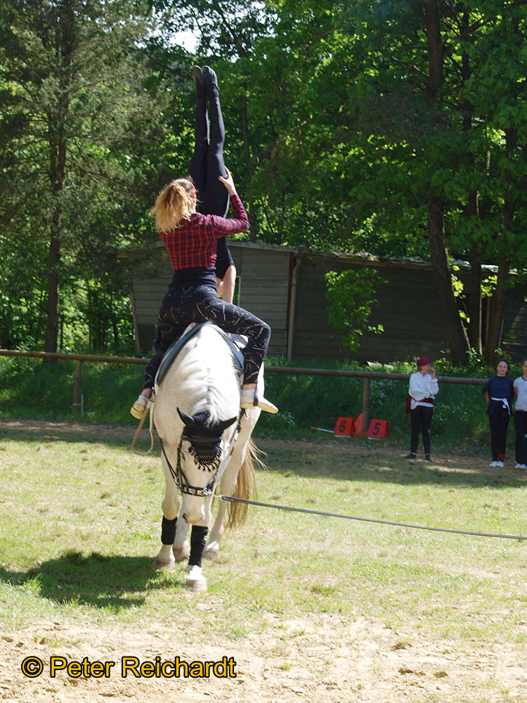 Gestüt Bretmühle: Kaiserwetter beim Tag der offenen Tür