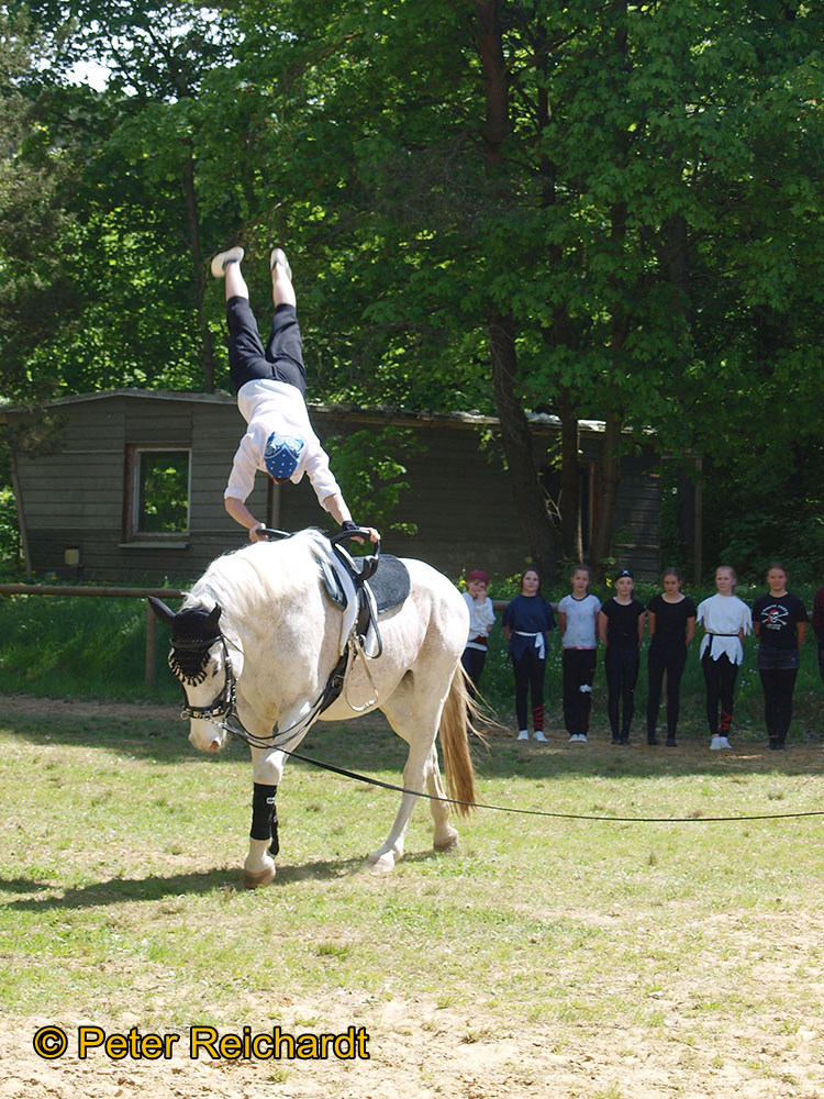 Gestüt Bretmühle: Kaiserwetter beim Tag der offenen Tür