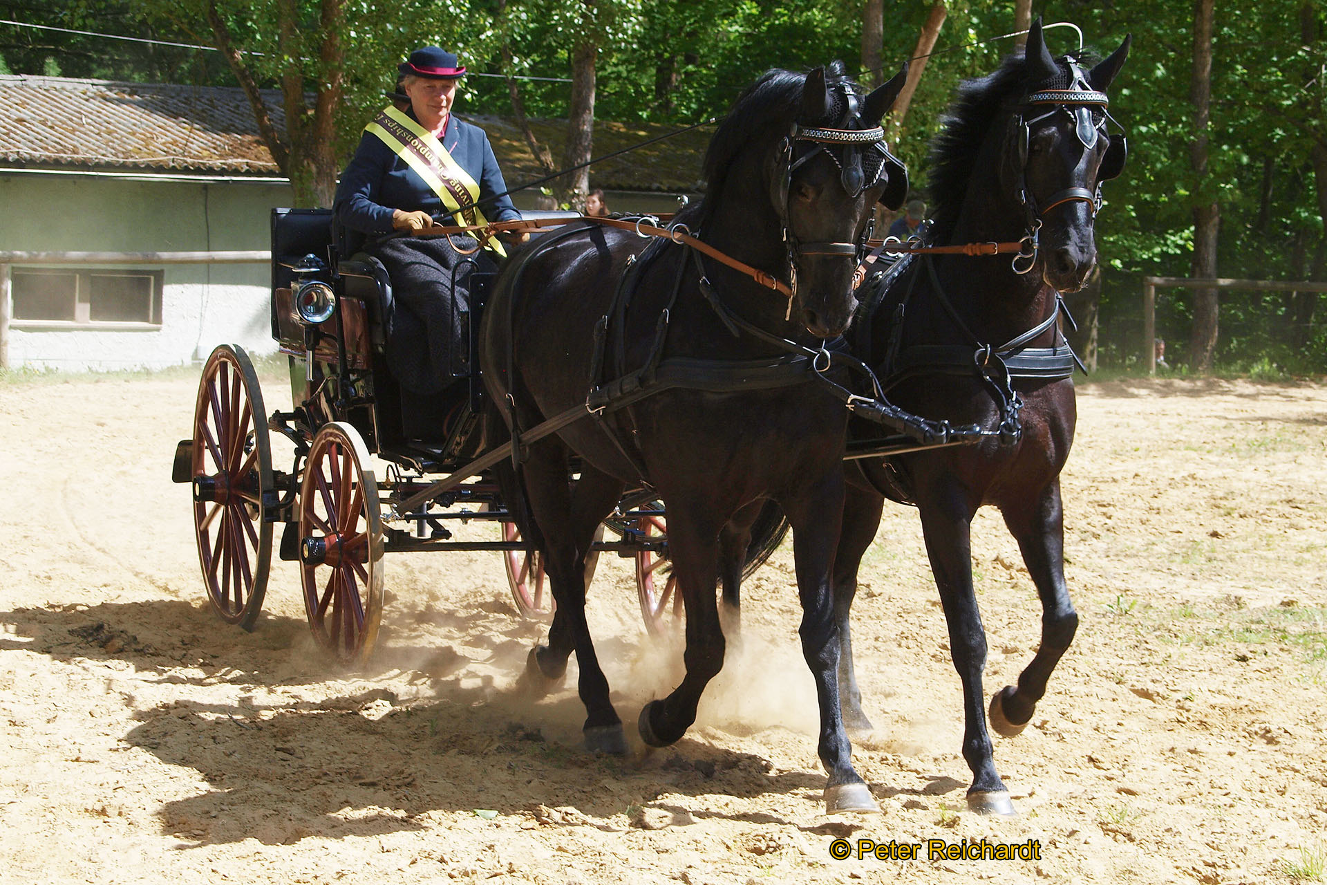 Gestüt Bretmühle: Kaiserwetter beim Tag der offenen Tür