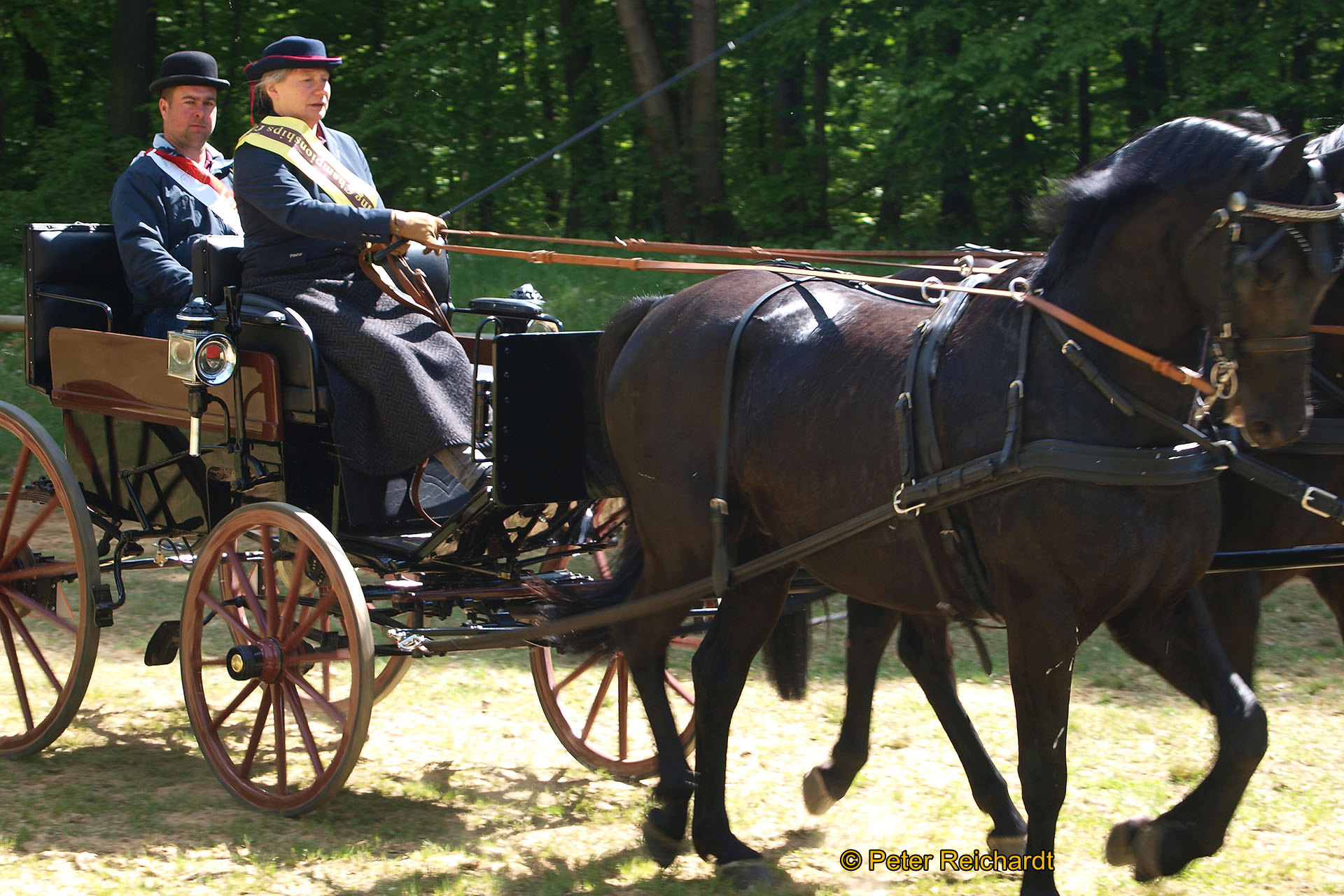 Gestüt Bretmühle: Kaiserwetter beim Tag der offenen Tür