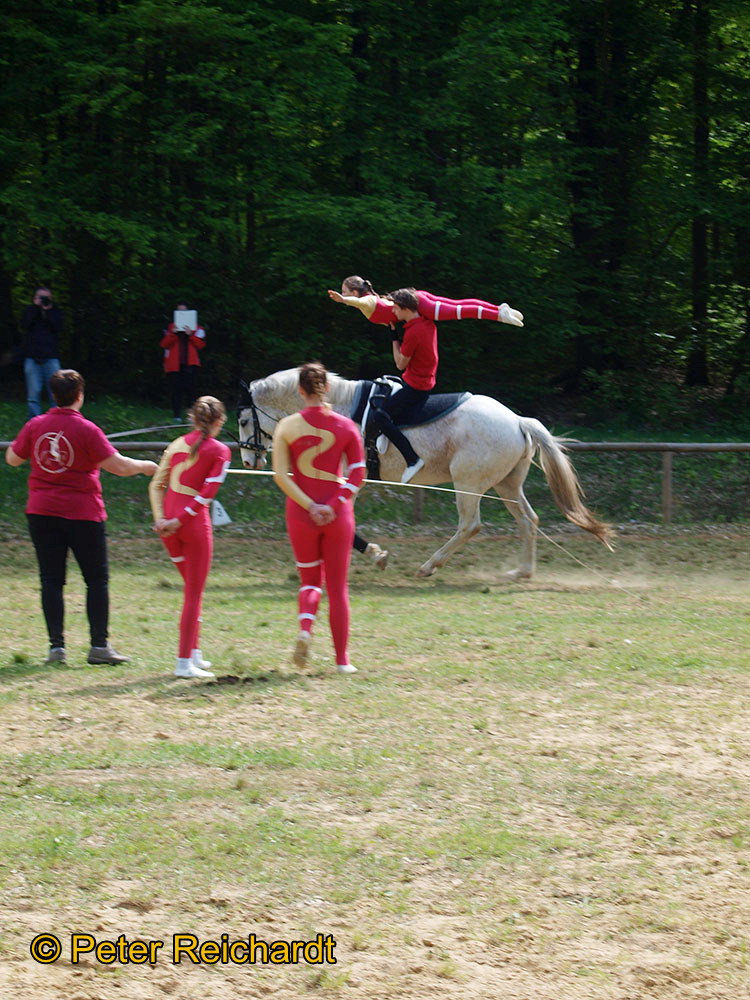 Gestüt Bretmühle: Kaiserwetter beim Tag der offenen Tür