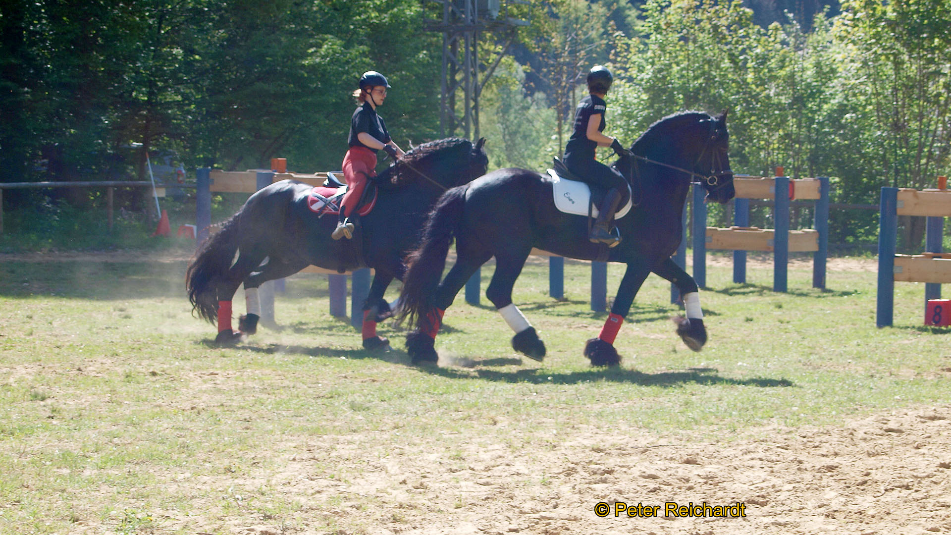Gestüt Bretmühle: Kaiserwetter beim Tag der offenen Tür