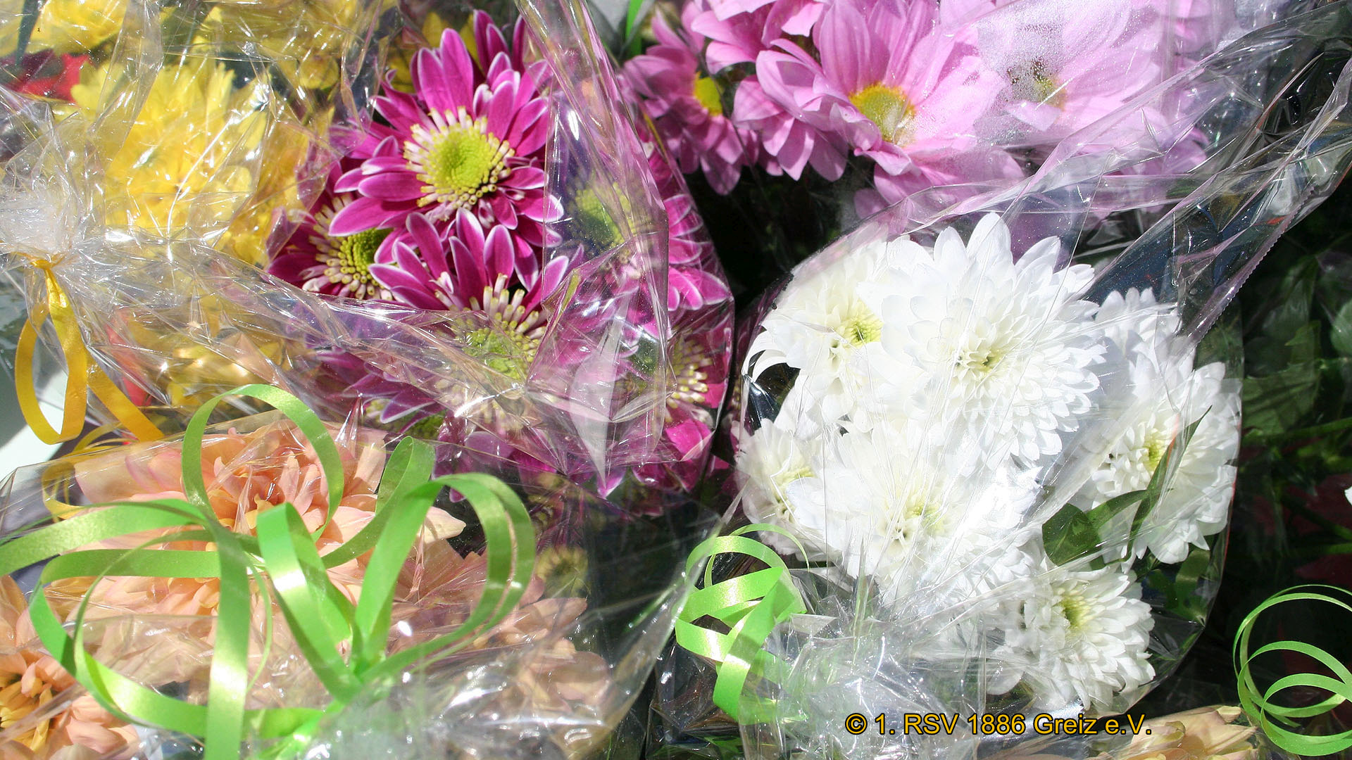 1. RSV 1886 Greiz e.V. führte Landesmeisterschaft im 1-er Straßenradsport durch