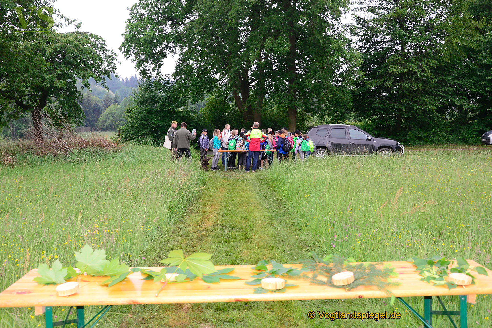 Waldjugendspiele 2018: Ein Schultag im Freien