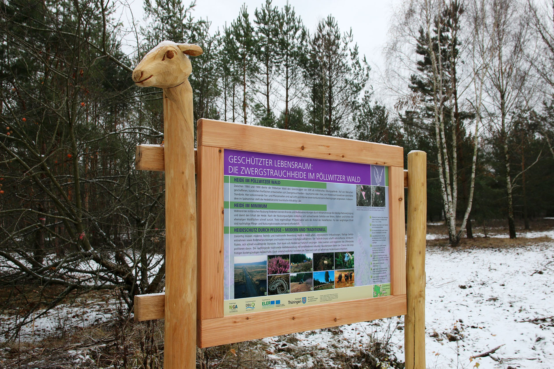 Pöllwitzer Wald: Neue Anschauungstafeln an den Heideflächen