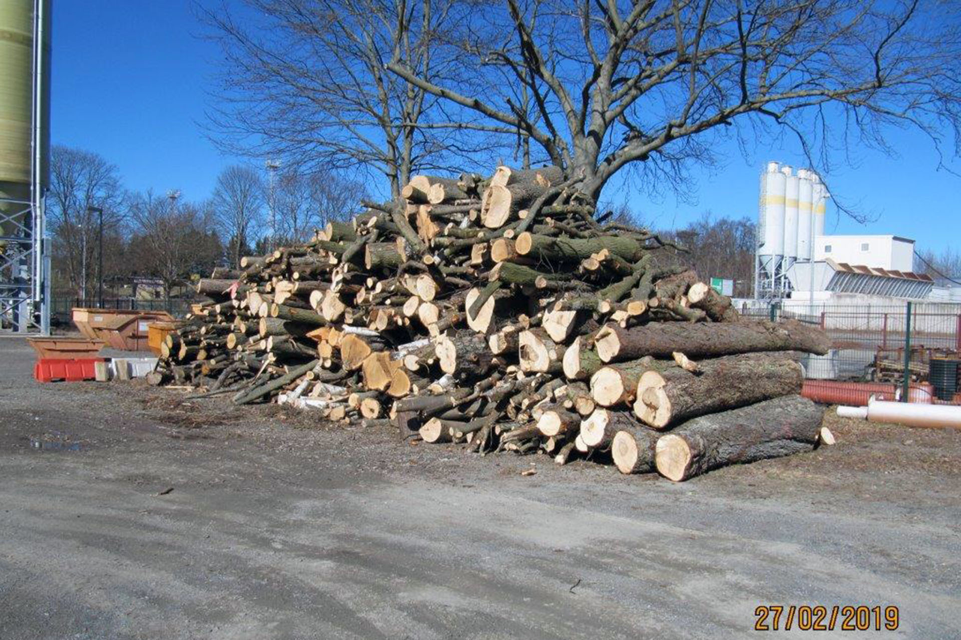 Das Landratsamt Greiz informiert: Verkauf von Brennholz