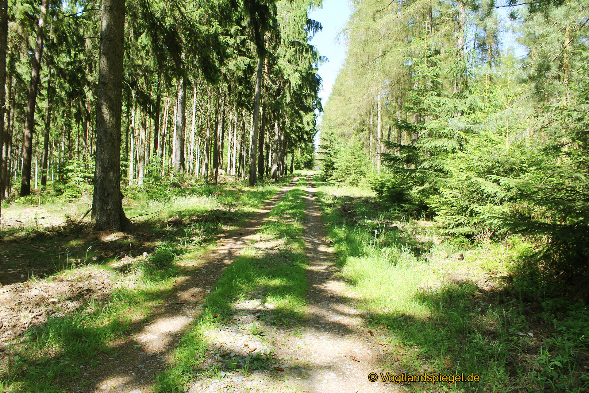 Waldweg