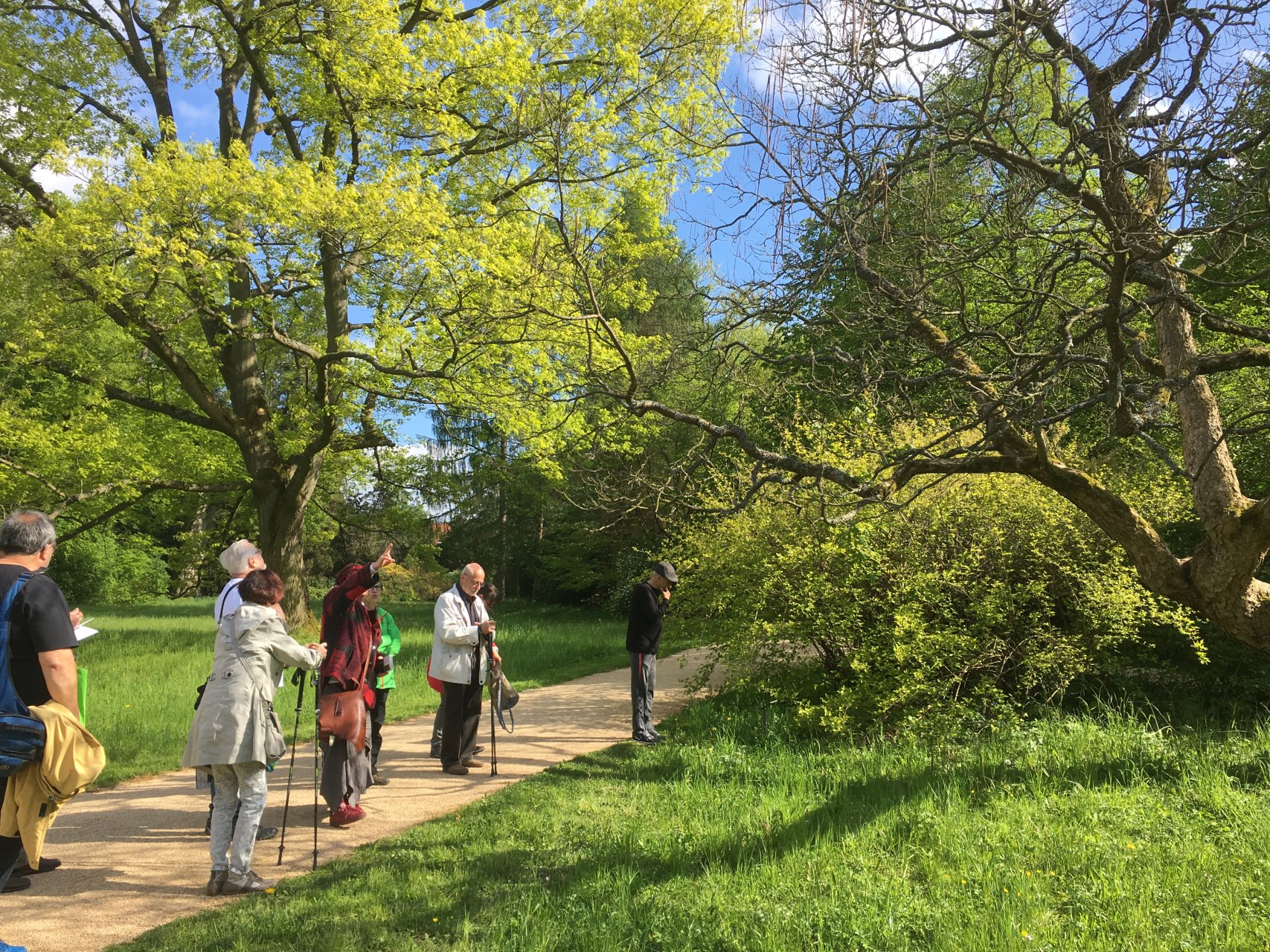 Geführter Rundgang durch den Fürstlich Greizer Park