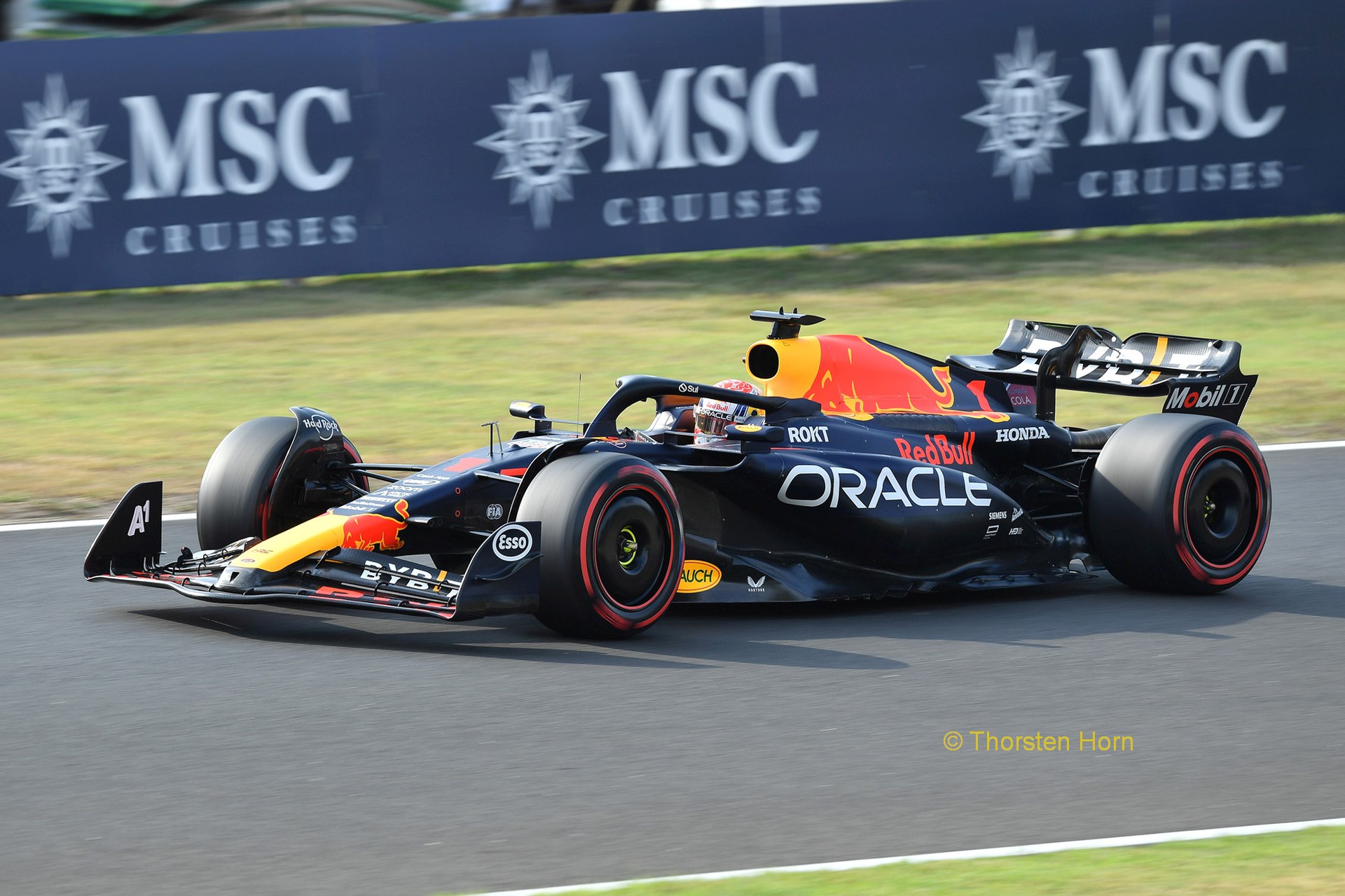 Max Verstappen wurde in Katar Formel 1-Weltmeister