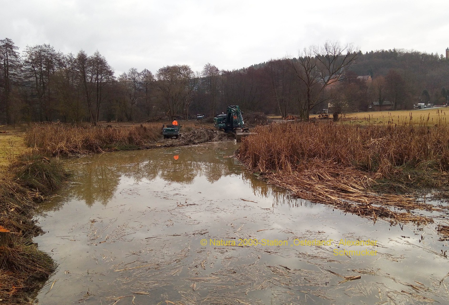 Revitalisierung der Hammerwiesenteiche im Fürstlich Greizer Park hat begonnen